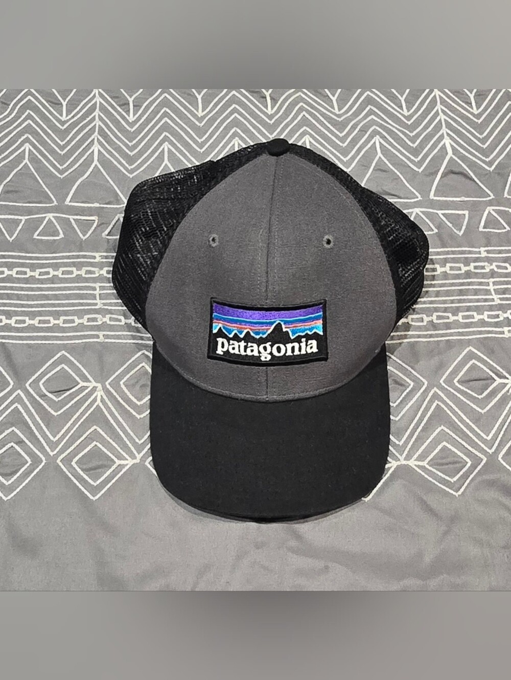 Patagonia Logo Trucker Hat